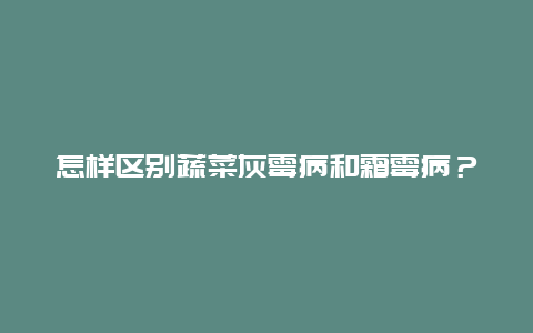 怎样区别蔬菜灰霉病和霜霉病？