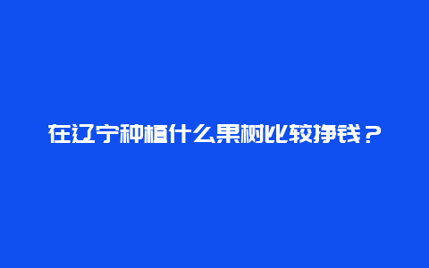 在辽宁种植什么果树比较挣钱？