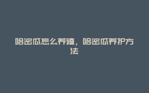 哈密瓜怎么养殖，哈密瓜养护方法