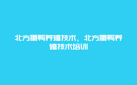 北方蛋鸭养殖技术，北方蛋鸭养殖技术培训