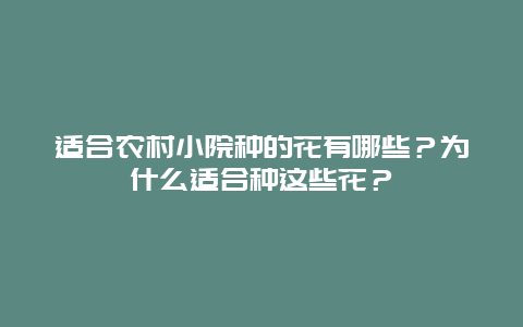 适合农村小院种的花有哪些？为什么适合种这些花？