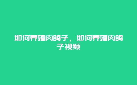 如何养殖肉鸽子，如何养殖肉鸽子视频