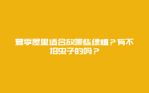 夏季屋里适合放哪些绿植？有不招虫子的吗？