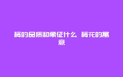 梅的品质和象征什么 梅花的寓意