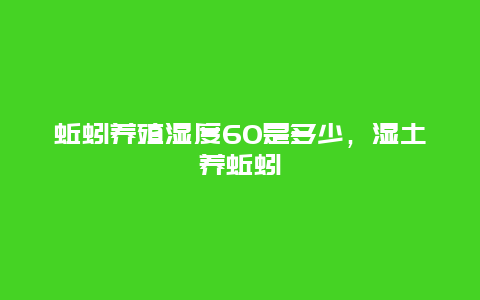 蚯蚓养殖湿度60是多少，湿土养蚯蚓