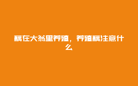 藕在大翁里养殖，养殖藕注意什么