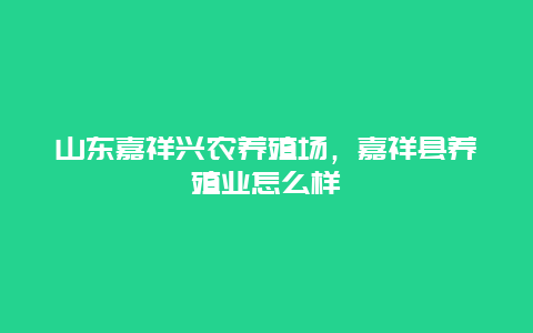 山东嘉祥兴农养殖场，嘉祥县养殖业怎么样