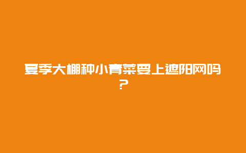 夏季大棚种小青菜要上遮阳网吗？