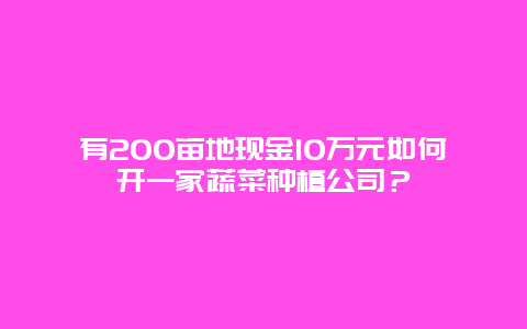 有200亩地现金10万元如何开一家蔬菜种植公司？