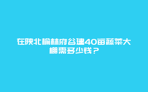 在陕北榆林府谷建40亩蔬菜大棚需多少钱？