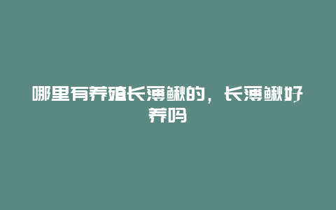 哪里有养殖长薄鳅的，长薄鳅好养吗