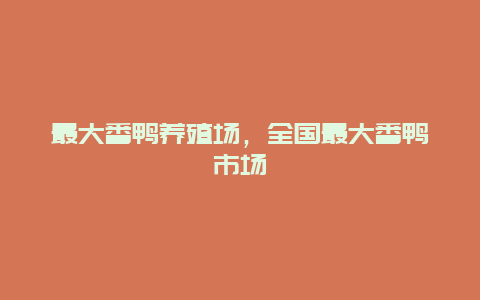 最大番鸭养殖场，全国最大番鸭市场