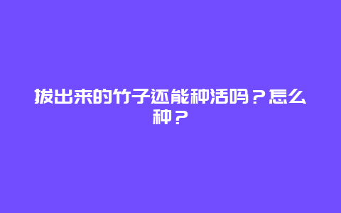 拔出来的竹子还能种活吗？怎么种？