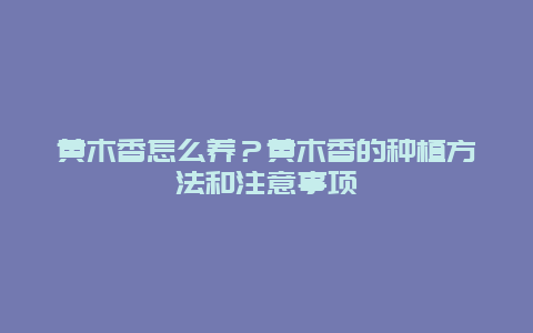 黄木香怎么养？黄木香的种植方法和注意事项