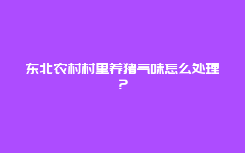 东北农村村里养猪气味怎么处理？