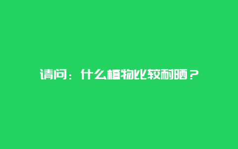 请问：什么植物比较耐晒？