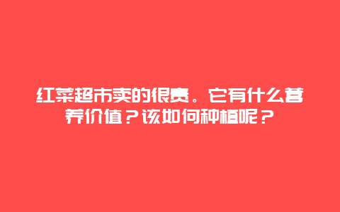 红菜超市卖的很贵。它有什么营养价值？该如何种植呢？