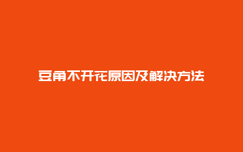 豆角不开花原因及解决方法