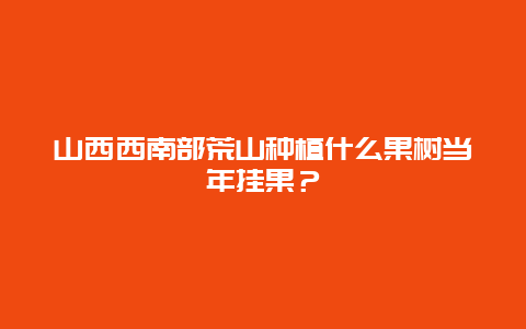 山西西南部荒山种植什么果树当年挂果？