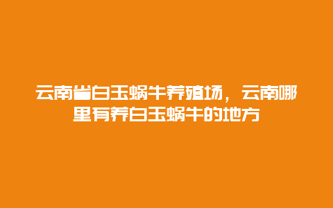 云南省白玉蜗牛养殖场，云南哪里有养白玉蜗牛的地方