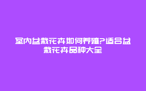 室内盆栽花卉如何养殖?适合盆栽花卉品种大全