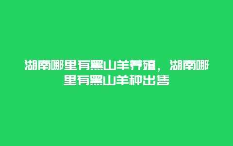 湖南哪里有黑山羊养殖，湖南哪里有黑山羊种出售