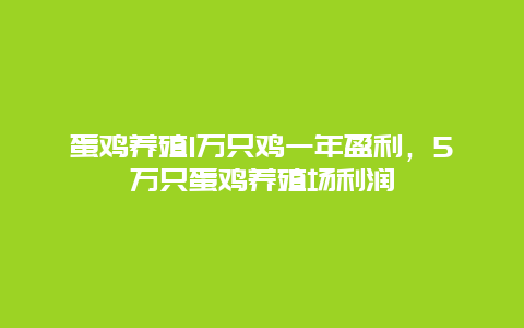 蛋鸡养殖1万只鸡一年盈利，5万只蛋鸡养殖场利润