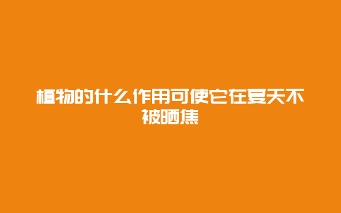 植物的什么作用可使它在夏天不被晒焦