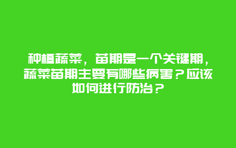 种植蔬菜，苗期是一个关键期，蔬菜苗期主要有哪些病害？应该如何进行防治？