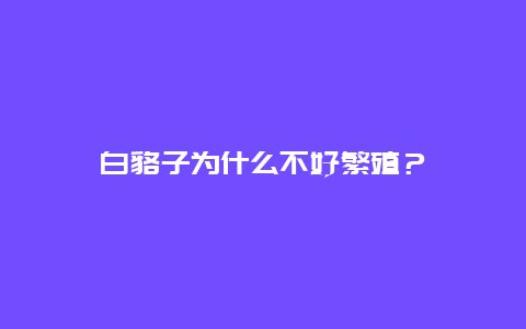 白貉子为什么不好繁殖？