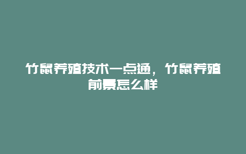 竹鼠养殖技术一点通，竹鼠养殖前景怎么样