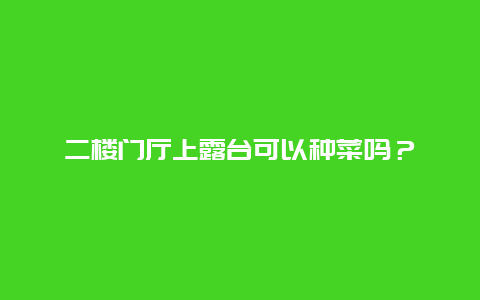 二楼门厅上露台可以种菜吗？