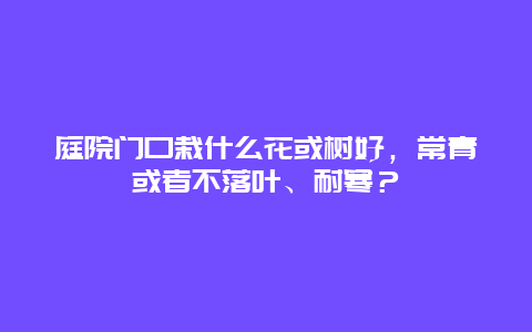 庭院门口栽什么花或树好，常青或者不落叶、耐寒？