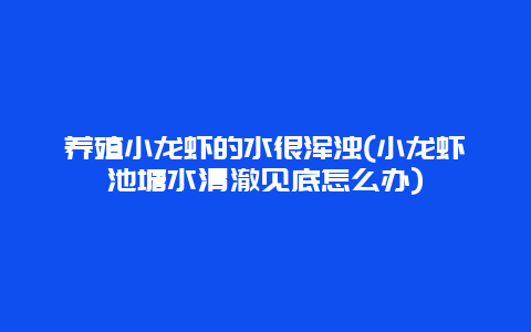 养殖小龙虾的水很浑浊(小龙虾池塘水清澈见底怎么办)