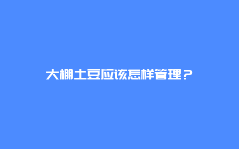 大棚土豆应该怎样管理？