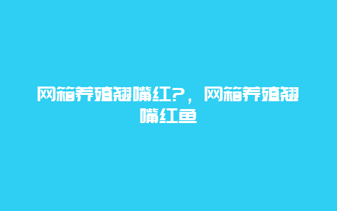 网箱养殖翘嘴红?，网箱养殖翘嘴红鱼