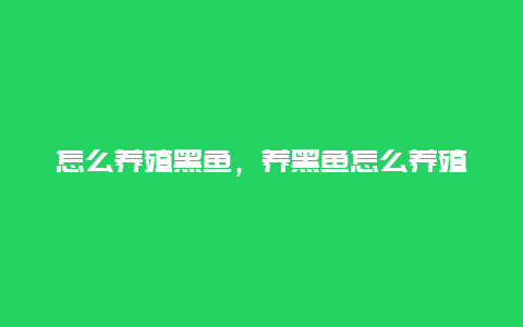 怎么养殖黑鱼，养黑鱼怎么养殖