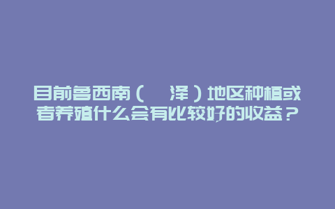 目前鲁西南（菏泽）地区种植或者养殖什么会有比较好的收益？