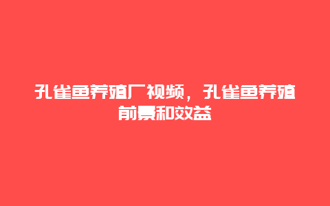 孔雀鱼养殖厂视频，孔雀鱼养殖前景和效益