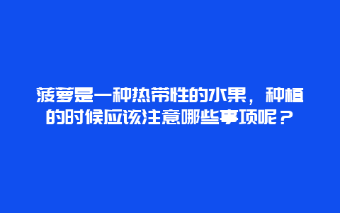 菠萝是一种热带性的水果，种植的时候应该注意哪些事项呢？