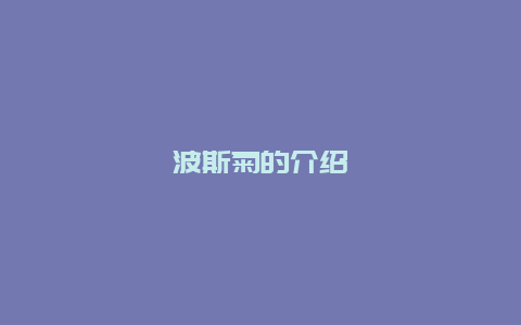 波斯菊的介绍