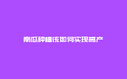 南瓜种植该如何实现高产