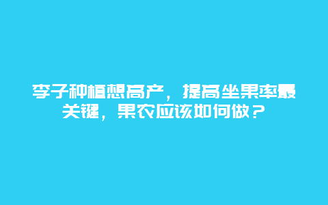 李子种植想高产，提高坐果率最关键，果农应该如何做？