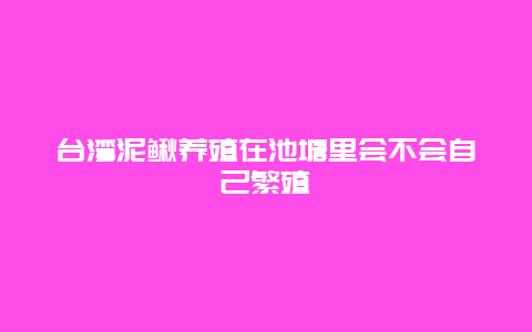 台湾泥鳅养殖在池塘里会不会自己繁殖