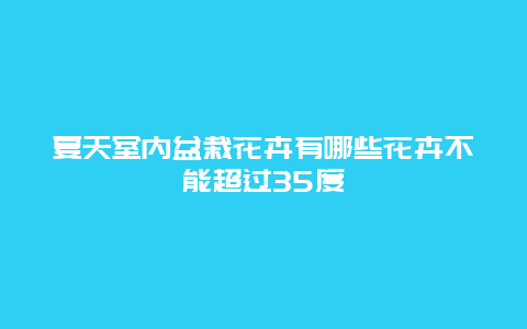 夏天室内盆栽花卉有哪些花卉不能超过35度