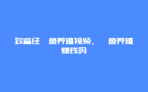 致富经鳜鱼养殖视频，鳜鱼养殖赚钱吗