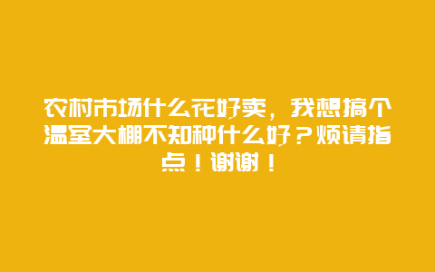 农村市场什么花好卖，我想搞个温室大棚不知种什么好？烦请指点！谢谢！