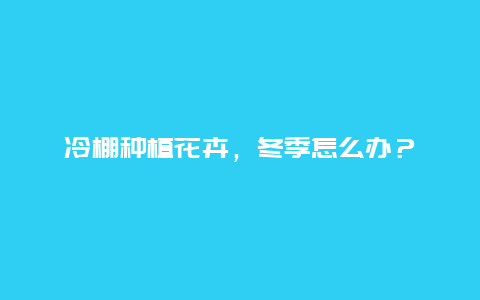 冷棚种植花卉，冬季怎么办？