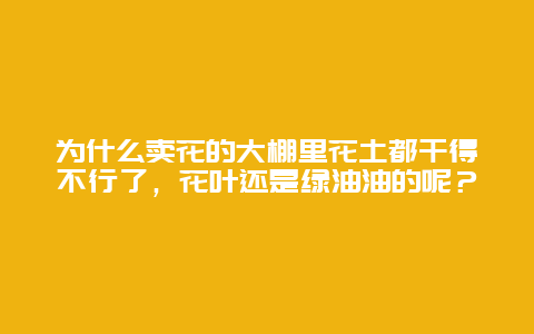 为什么卖花的大棚里花土都干得不行了，花叶还是绿油油的呢？