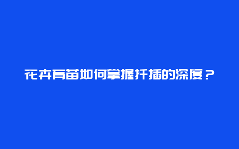 花卉育苗如何掌握扦插的深度？